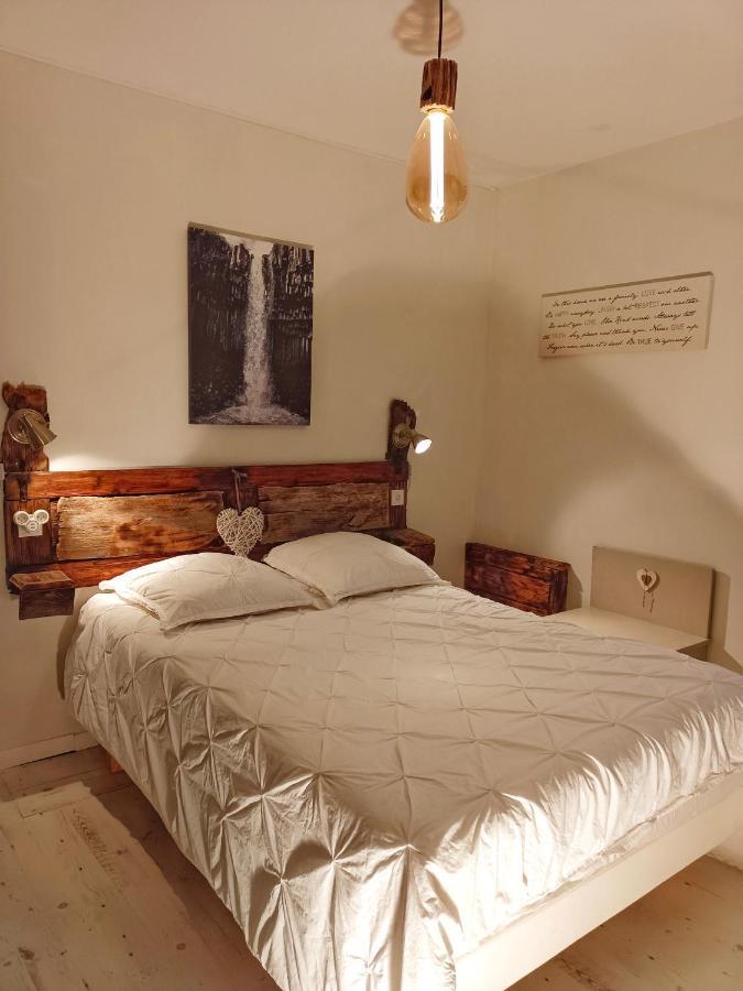 Theys Gite Redrooster Home - 160M2, 4 Ch, 2 Sdb, Fibre, Parking, Sauna, Bain A Remous מראה חיצוני תמונה