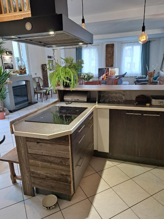 Theys Gite Redrooster Home - 160M2, 4 Ch, 2 Sdb, Fibre, Parking, Sauna, Bain A Remous מראה חיצוני תמונה